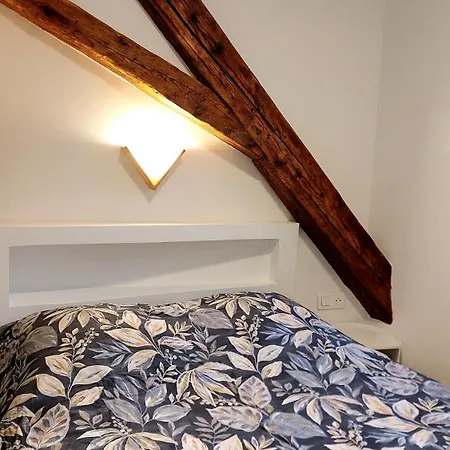 Cosy Au Coeur D'aix-les-bains شقة